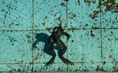 Can Robotic Pool Cleaners Remove Dead Algae?