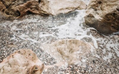 Can Robotic Pool Cleaners Pick Up Small Rocks?
