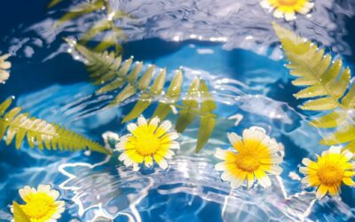 Can Robotic Pool Cleaners Pick Up Pollen?