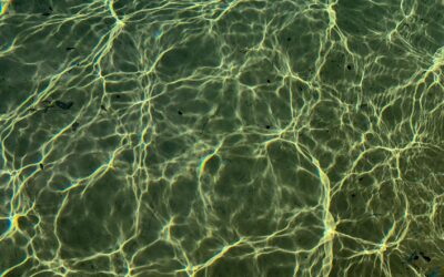 Why Is My Pool Robot Not Picking Up Sand? Common Causes and Fixes for 2026