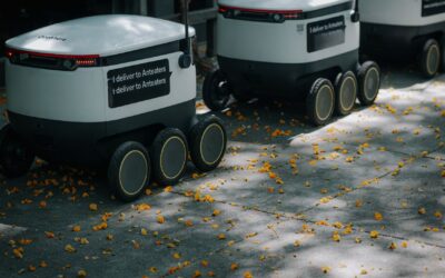 How Long Do Robotic Pool Cleaner Filters Last