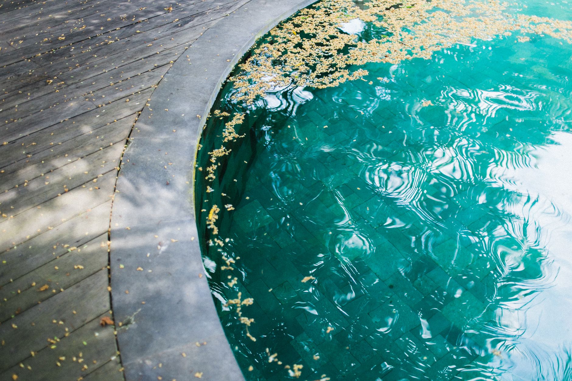 Can I Leave Robotic Pool Cleaner In Pool Overnight? What You Need to Know 1 Illustration for: Can I Leave Robotic Pool Cleaner In Pool Overnight? What You Need to Know