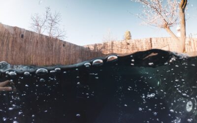 Can Robotic Pool Cleaners Clean the Waterline? What You Need to Know in 2026