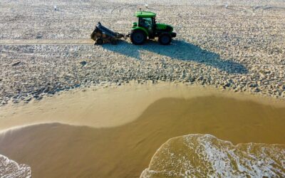 Do Robotic Pool Cleaners Handle Sand?