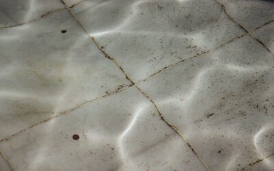 When and How to Clean Your Robotic Pool Cleaner Filter